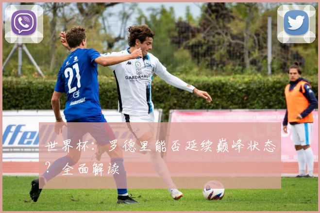 世界杯:罗德里能否延续巅峰状态?全面解读